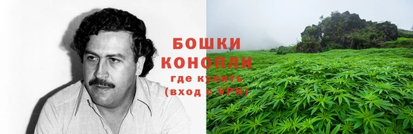 мяу мяу мука Абаза