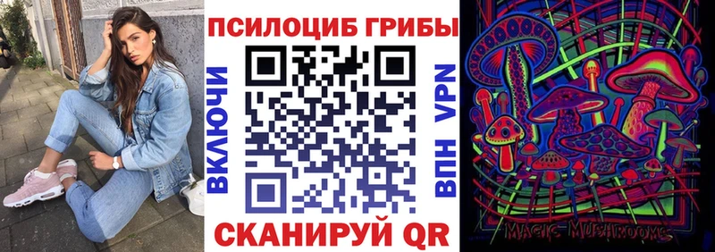 Псилоцибиновые грибы ЛСД  МЕГА ссылка  Суздаль 