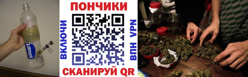hydra зеркало  Суздаль  Конопля OG Kush 